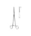 Toennis Artery Forceps Straight 1x2 Toothed 26cm