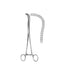 Guyon Kidney Ped.Clamp Forceps 23.0cm
