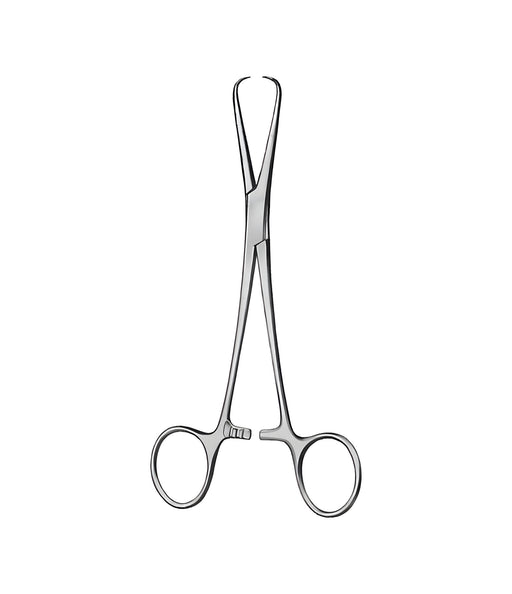 Bernhard Towel Forceps 16.5cm