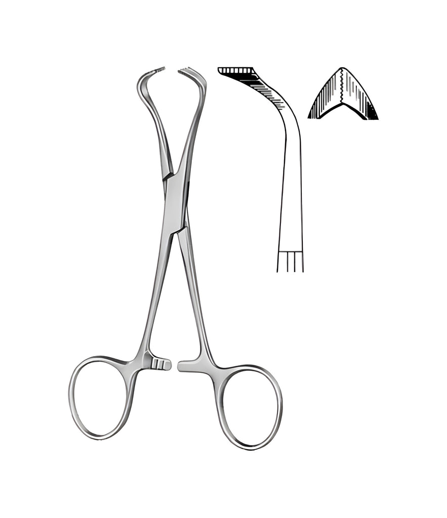 Lorna Towel Forceps 10.0cm
