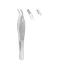 Adson-Brown Tissue Forceps Curved 9x9 Toothed12.0cm
