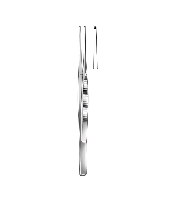 Taylor Tissue Forceps Straight 1x2 Teeth 17.5cm