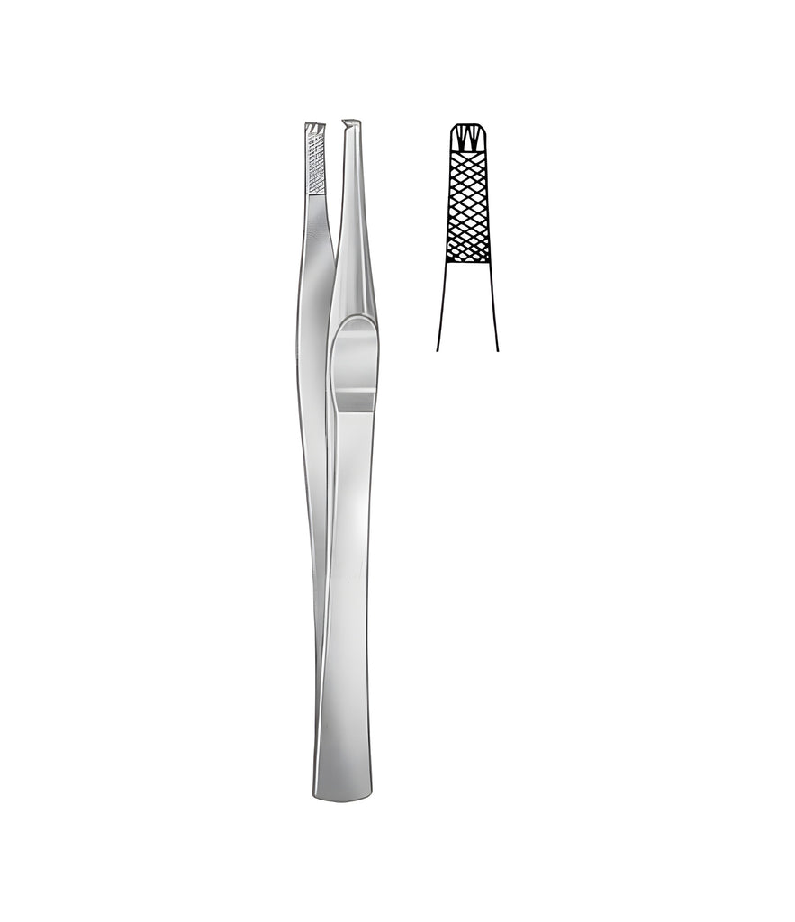 Lane Tissue Forceps 2x3 Teeth