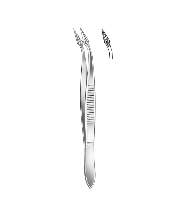 Hunter Splinter Forceps Curved 10.5cm