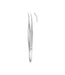 Splinter Forceps Without Pin Smooth Curved 10.5cm