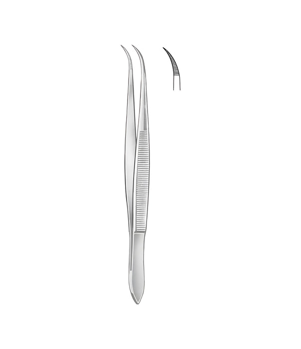Splinter Forceps Without Pin Curved Serrat