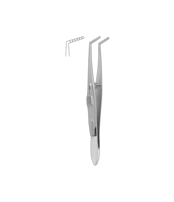 Jameson Muscular Forceps 10.0cm Right