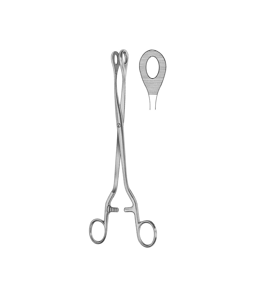 Noto Polypus Forceps 27.5cm