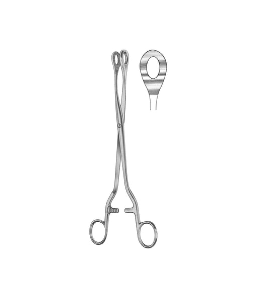 Noto Polypus Forceps 27.5cm
