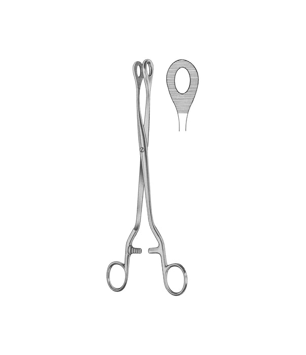 Noto Polypus Forceps 27.5cm