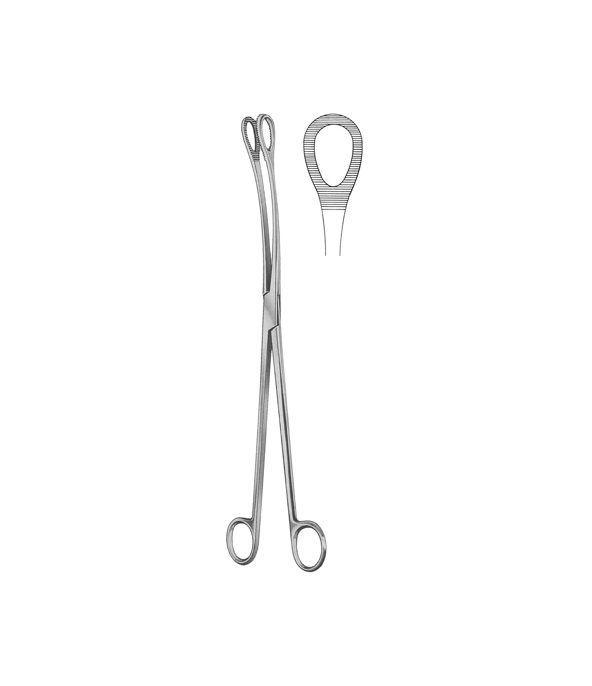 Kelly Polypus Forceps 32.0cm — Stark Medical Pty Ltd