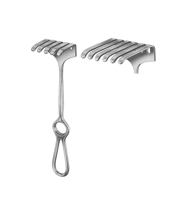 Israel Retractor 25.0cm 6 Prongs / 70x70mm