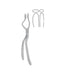 Rowe Disimpaction Forceps 23.0 cm Right