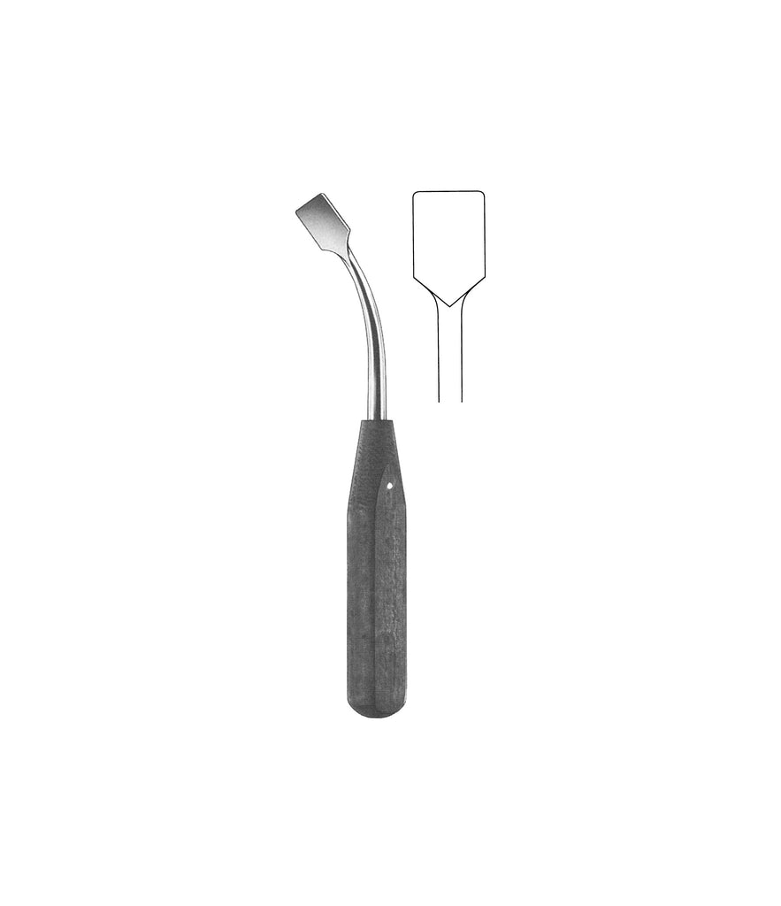 Raspatories 19.0cm