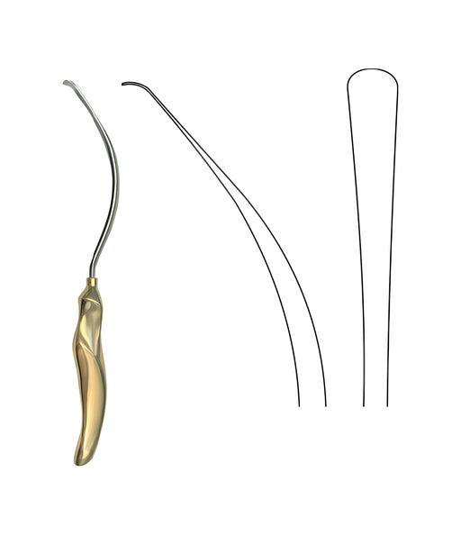 Nopa Nopa Arcus Marginalis Dissektor