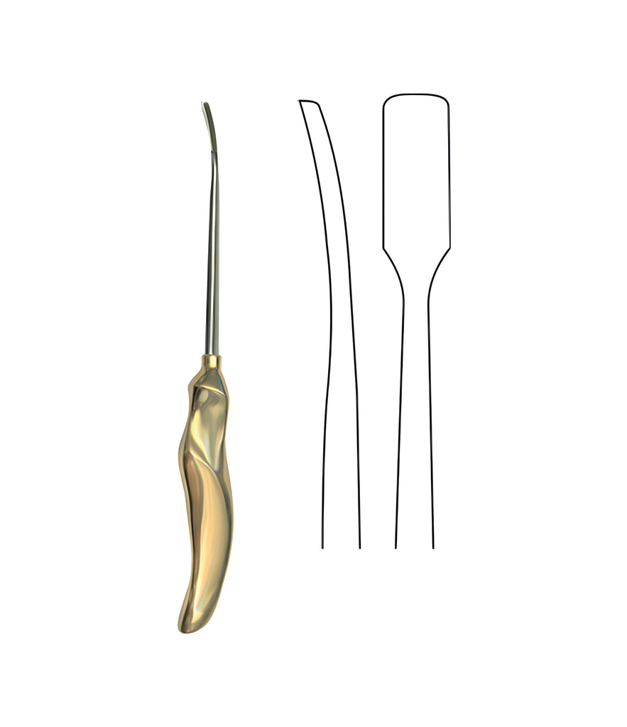 Nopa Frontotemporal Dissector