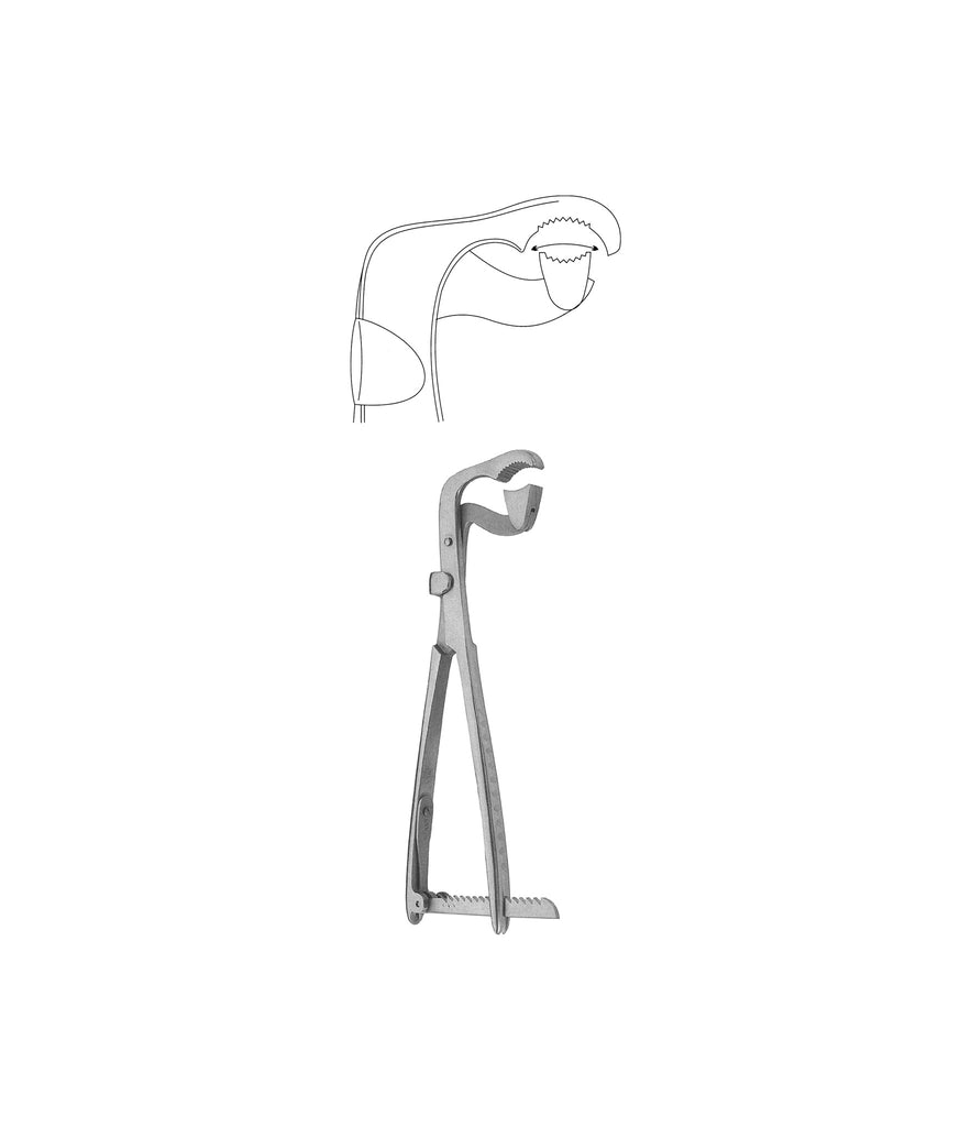 Lambotte Bone Holding Forceps Curved 19cm