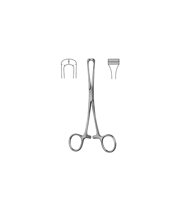 Steinmann Seizing Forceps 16cm