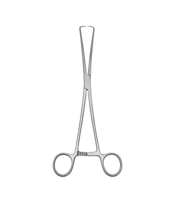 Braun Forceps Box Lock 25.0cm