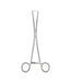 Braun Forceps Box Lock 25.0cm