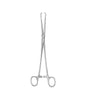 Schroeder Forceps Box Lock 25cm