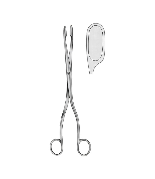 Winter Ovum Forceps Straight 28.0cm Figure 3