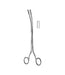 Desjardins Gall Stone Forceps 23.0cm Figure 1
