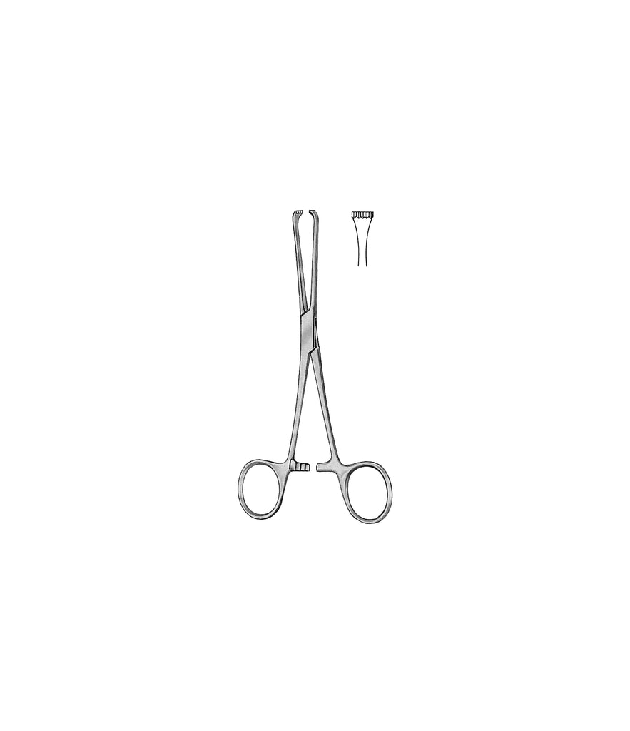 Boys-Allis InToothedTissue Forceps 5x6 Toothed 15.0cm