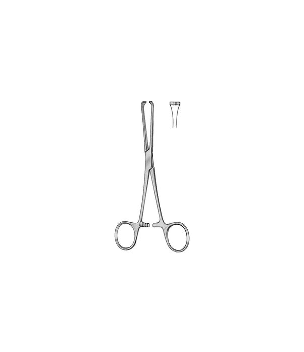 Boys-Allis InToothedTissue Forceps 5x6 Toothed 15.0cm