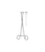 Babcock Tissue Forceps 16.0cm