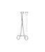 Babcock Tissue Forceps 20.0cm