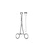 Babcock At Int.Tissue Forceps 20cm