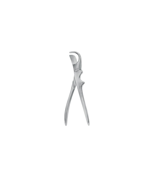 Gluck Rib Shears 22.0cm