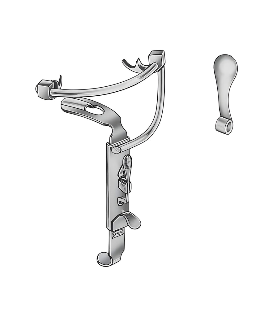 Palatal Support For Toothless