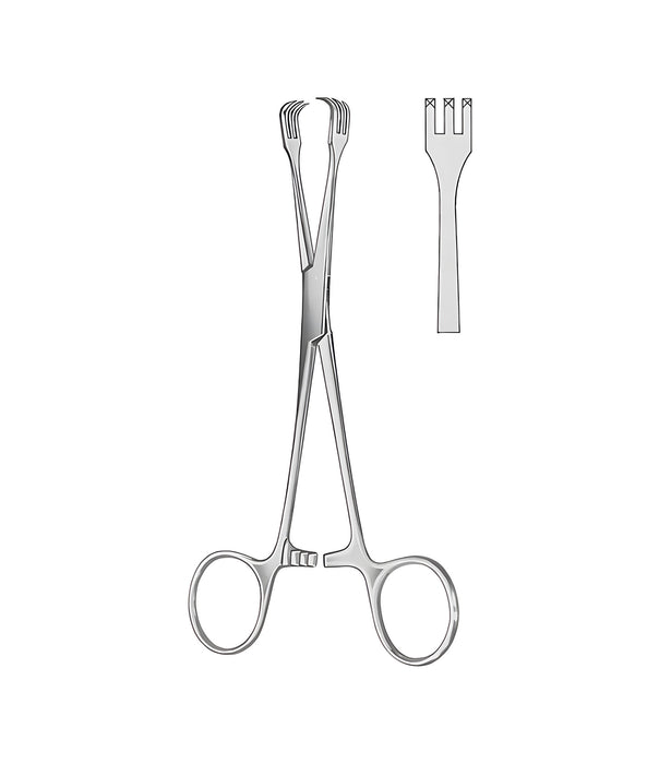 Lahey Seizing Forceps