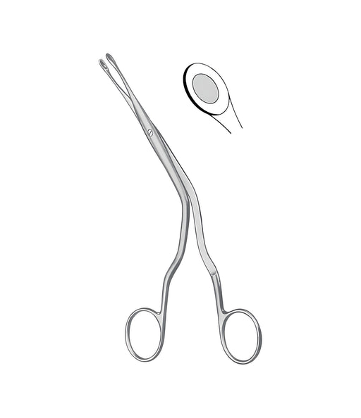 Luc Septum Cutting Forceps - Fenestrated Cup