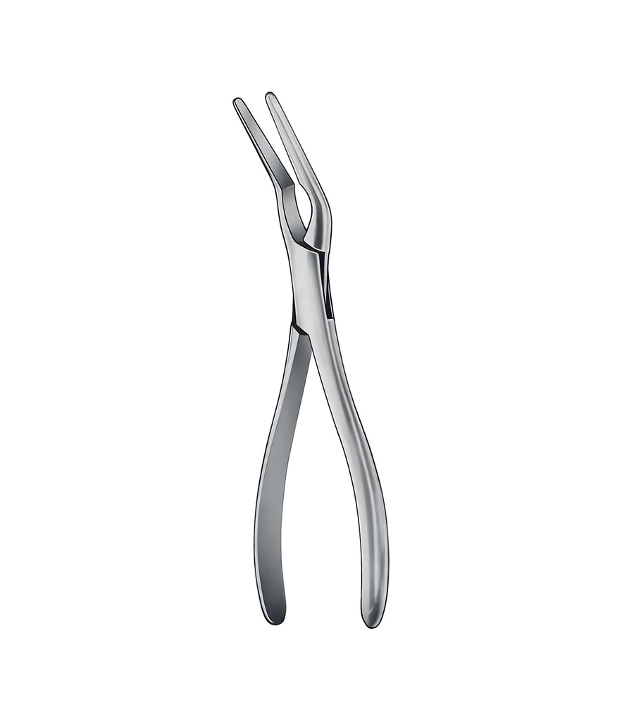 Asch Septum Straighteing Forceps Curved 23.0cm