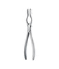 Walsham Septum Straight Forceps 23cm Figure 2