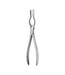 Walsham Septum Straight Forceps 23cm Figure 1