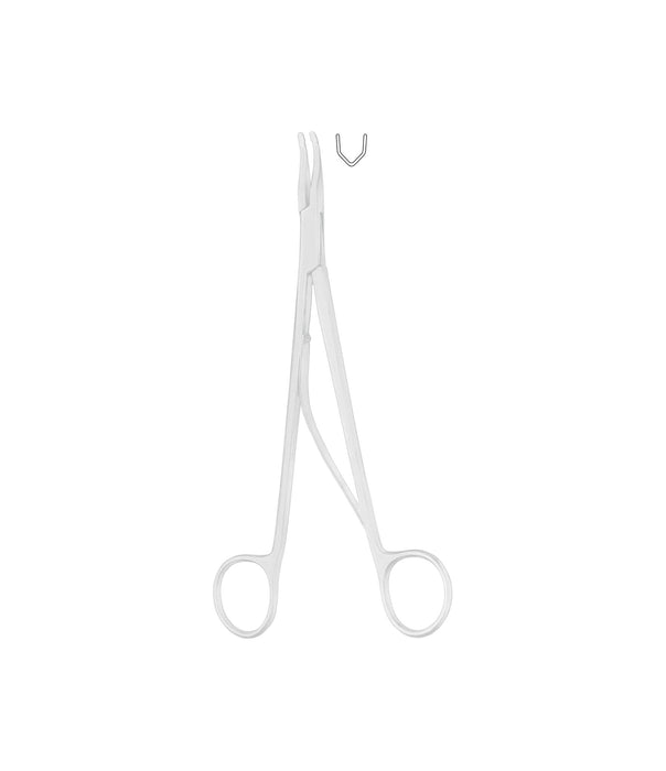 Clips Medium-Large Box 16x10 Clips