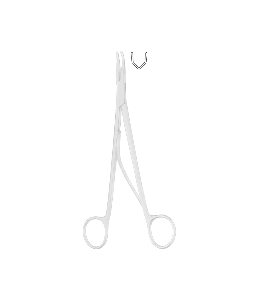 Clips Large Box Clips 10x15