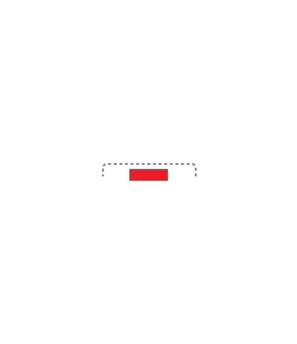 Lid Perforated for Sterilisation Container 300x140mm Red