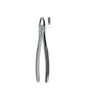 Extracting Forceps # 1 Non-Slip Jaws