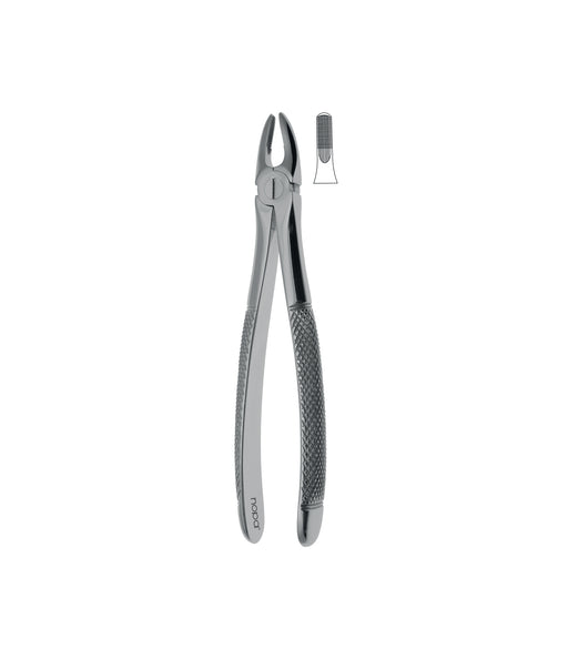 Extracting Forceps # 1 Non-Slip Jaws