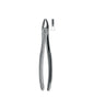 Extracting Forceps # 2 Non-Slip Jaws