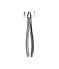 Extracting Forceps # 3 Non-Slip Jaws