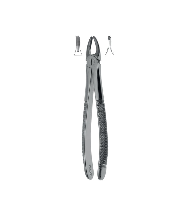Extracting Forceps # 3 Non-Slip Jaws