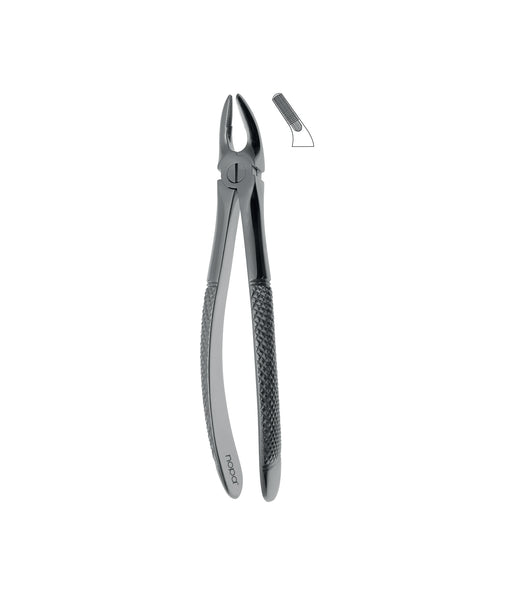 Extracting Forceps # 7 Non-Slip Jaws