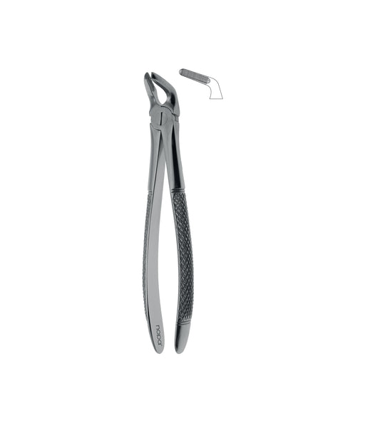Extracting Forceps # 8 Non-Slip Jaws