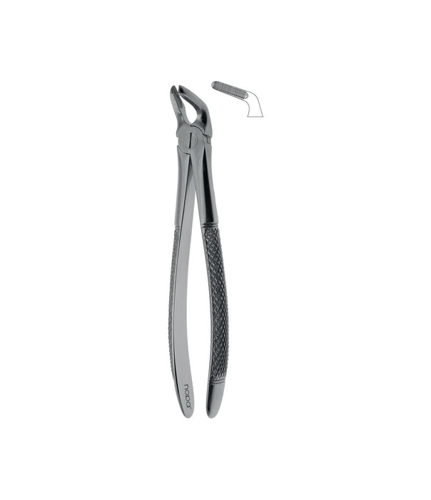Extracting Forceps # 8 Non-Slip Jaws